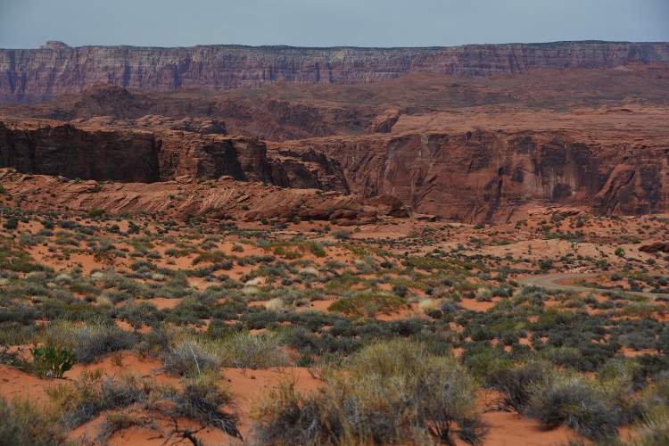 horseshoe bend